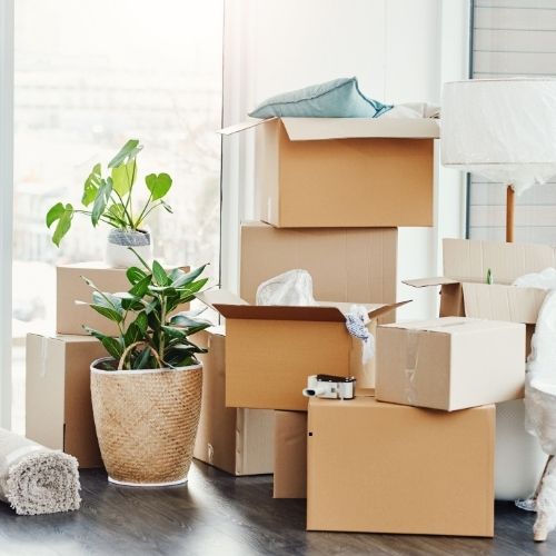 best Packers and Movers