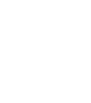 Decorative Shape 1