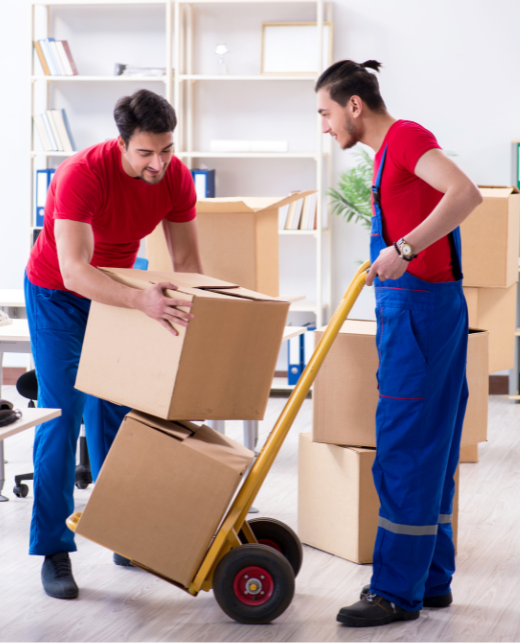 Trusted Packers and Movers